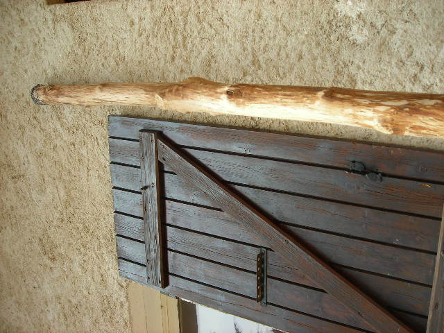 DSCN4761.JPG