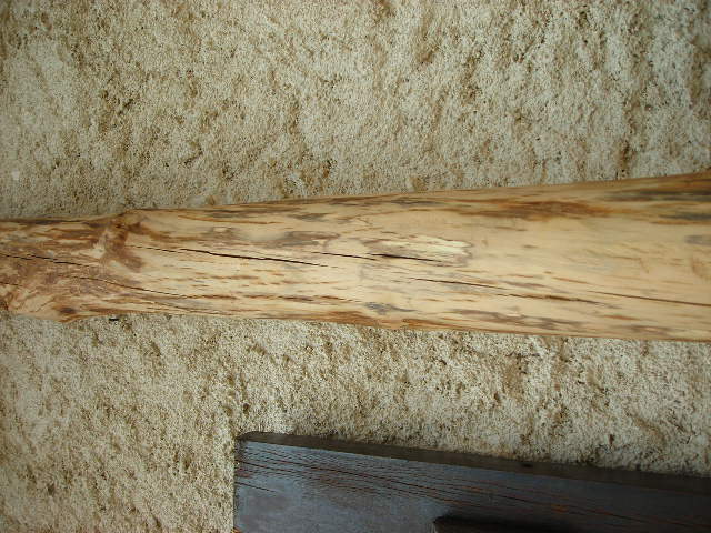 DSCN4759.JPG