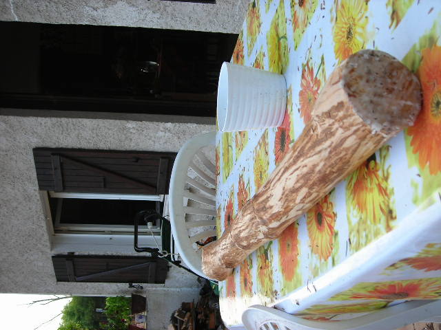 DSCN4764.JPG