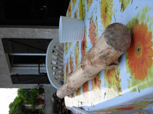 DSCN4763.JPG