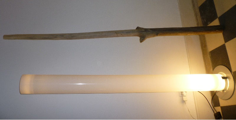 la branche tout juste rectifiée au niveau de l'embouchure.