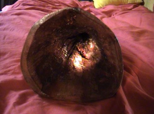 cloche
