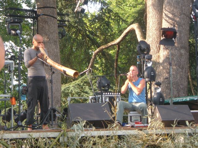 Yoram Sivan et Udi Vardi
