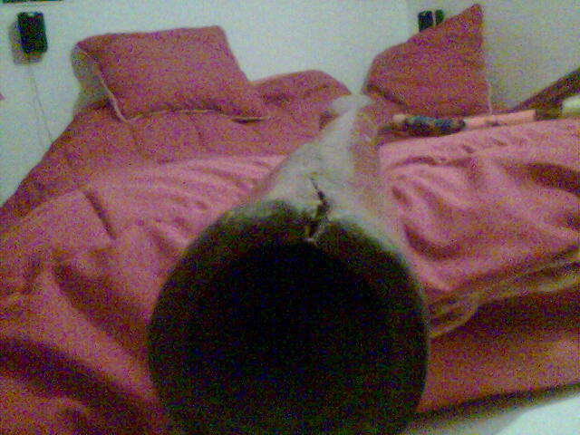 Photo007.jpg