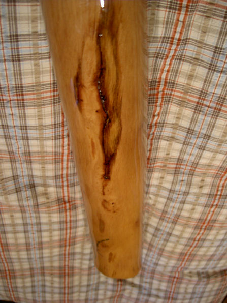 que c'est beau!!.JPG