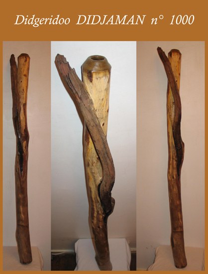 Didgeridoo &amp;quot;branché&amp;quot; !
