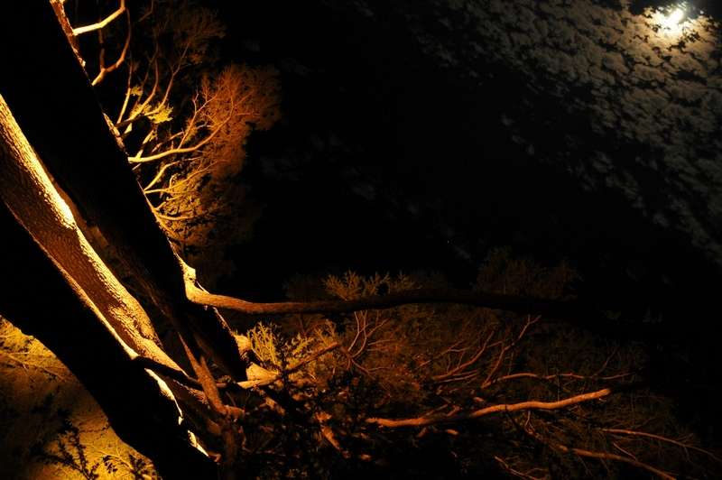 le ciel vu de sous la scène