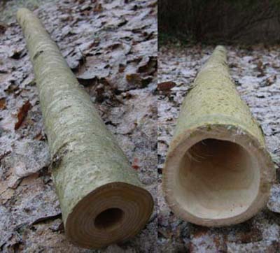 2009 2ième.jpg