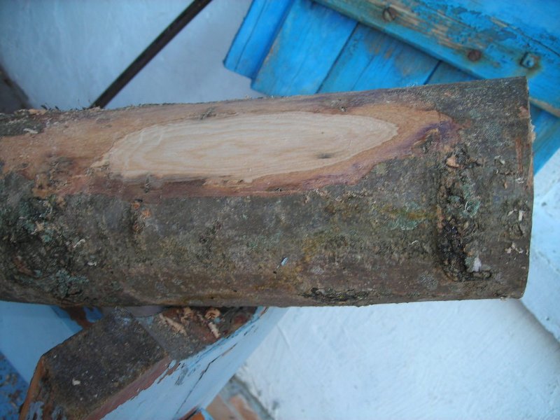 DSCN0114.JPG