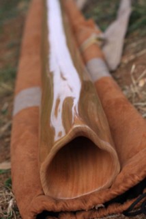 IMG_5050 [320x200].jpg