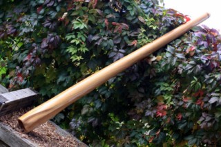 IMG_5061 [320x200].jpg