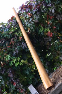 IMG_5067 [320x200].jpg