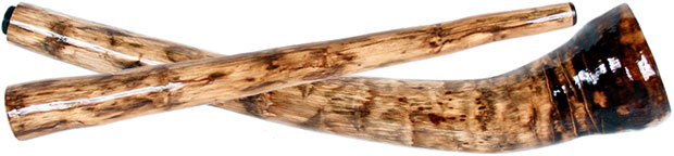 didgeridoo_3_2H.jpg