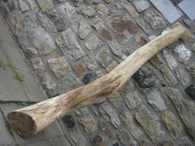 didge 1.JPG