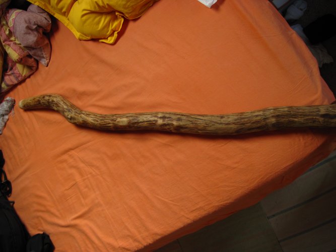 &quot;le didchêne&quot;  il est un peu ... tordu comme vous le voyez. pour la finition je vais le poncer un peu mieux, mais laisser les &quot; taches&quot; d'écorce, puis je vais le lustrer avec un mélange de cire d'abeille et d'huile de lin . je n'ai pas très envie de le vernir.