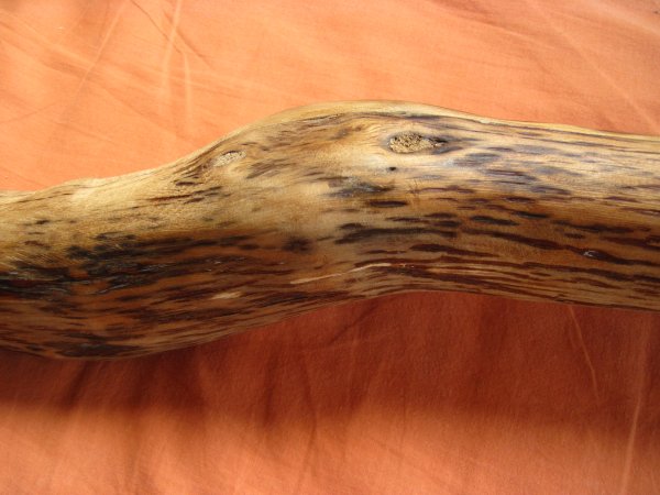 détail du coude . il y avait pas mal de petits noeuds.