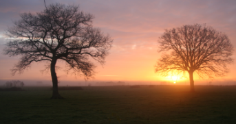 soleil  matinal sarthois