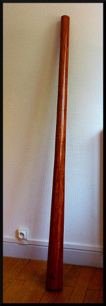 Mi Alex Kevanzingo 1.JPG