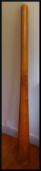 Didjelements FA merisier 4.JPG