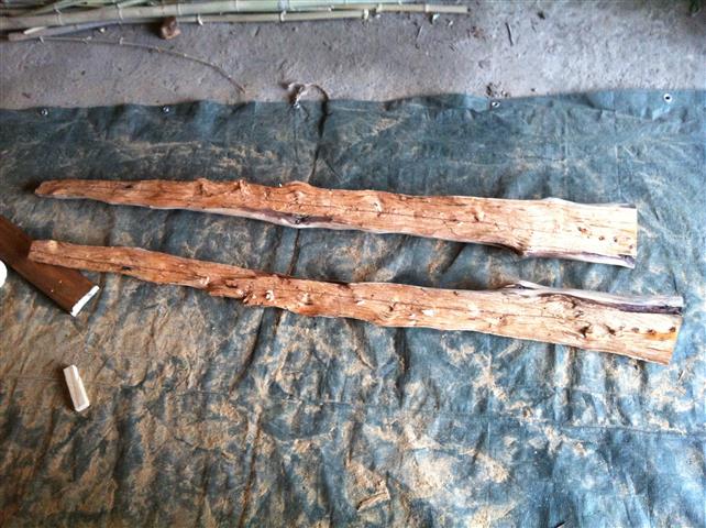 IMG_1195 (Small).JPG