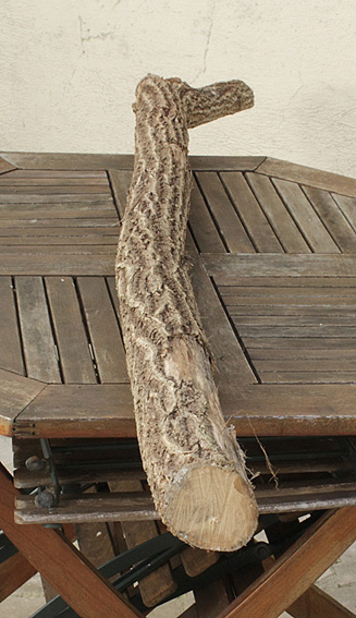 Photos de la branche