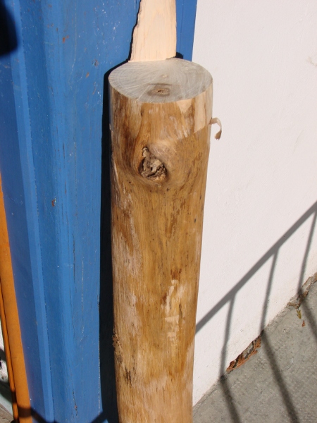 DSC03363.JPG