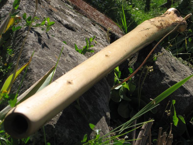 Brad Hagelstein 2.jpg