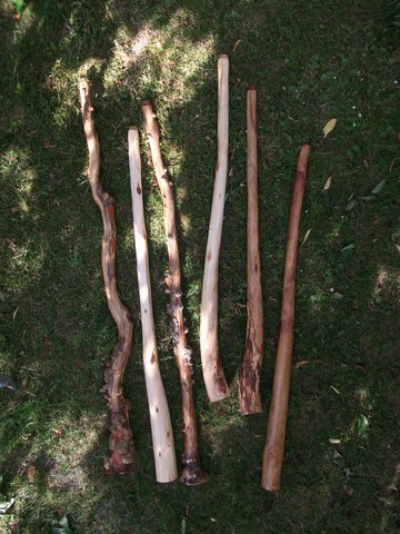 sandidg 053 (Copier).jpg