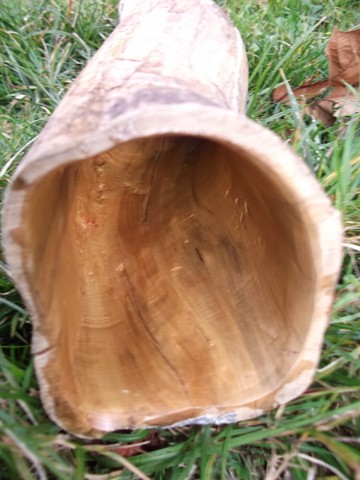 ré buis 029 (Copier).jpg