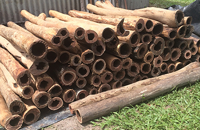 90 futur Didgeridoos Didjaman...héhéhé !