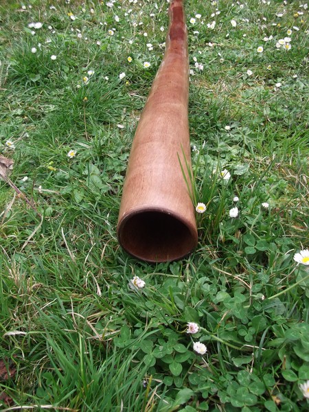 3 sandidgs 103 (Copier).jpg