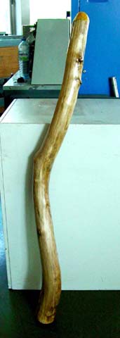 Face arrière du Sandidje en Frêne