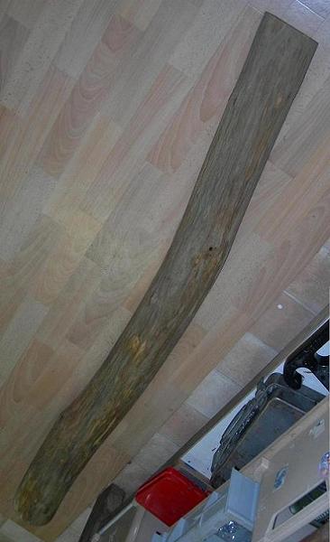 la branche au départ