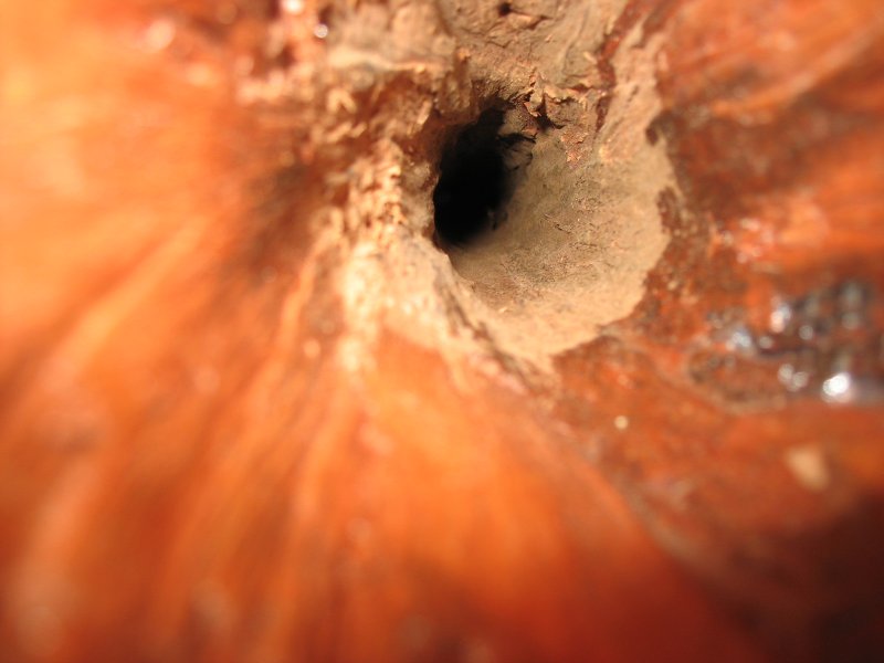 Une vue de l'interieur