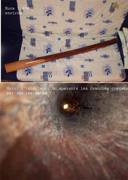 Sans titre-2 copie.jpg