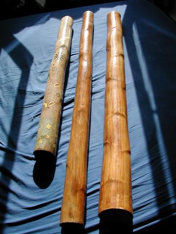 DSCN7821 (Petite).JPG