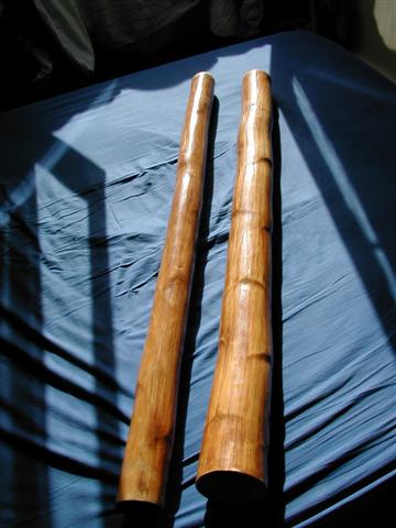 DSCN7819 (Petite).JPG