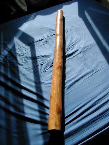 DSCN7818 (Petite).JPG