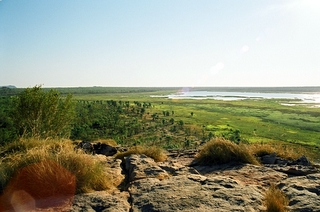 Ubirr le premier paradis rencontré le bush se mele avec le billabong avec un nsite de peinture rupectre exectionnel, on est a la frontiere de l'Arnhem land tout pres de de East Alligator river et de Oenpelli