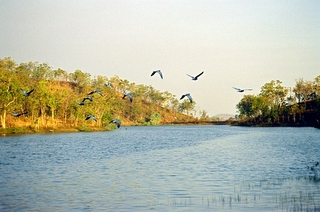 Umbrawarrarecreation vers PAIN CRIK euh!!! non cf'ets Pine Creek que me dit Delphine... Allo Xavier? Yo! on est a Pain crik!ahahahahahhaha!!!!