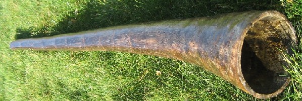 IMG_0186.jpg