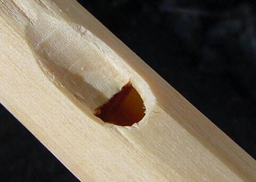 flûte 1_redimensionner.jpg