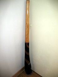 le didge en bois non identifié