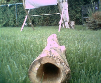 didgeridoo8005.jpg