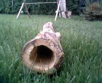 didgeridoo8004.jpg