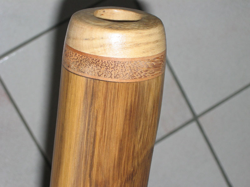 embouchure litchie, cocotier, litchie, cactus...merci vefoun ;)