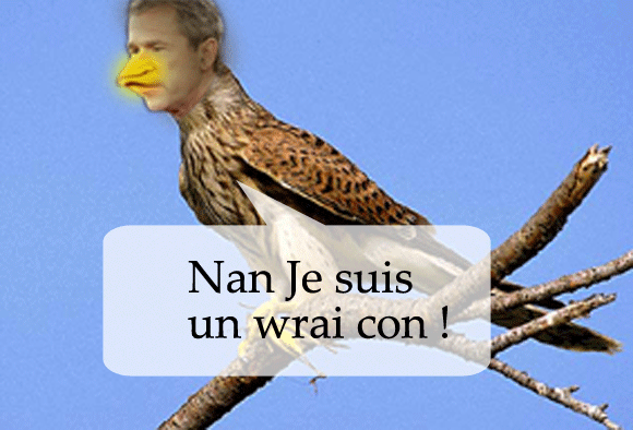 c'est moi ki lest fait !!!