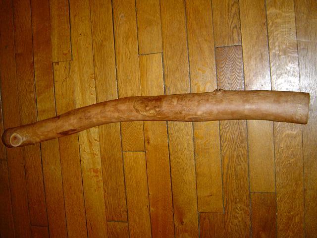 en plus y fé le caméléon chez moi