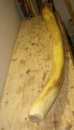 L'accacia,hauteur 1m37,embouchure a meme le bois de 28mm,cloche de 170mm,note &amp;quot;mi&amp;quot;